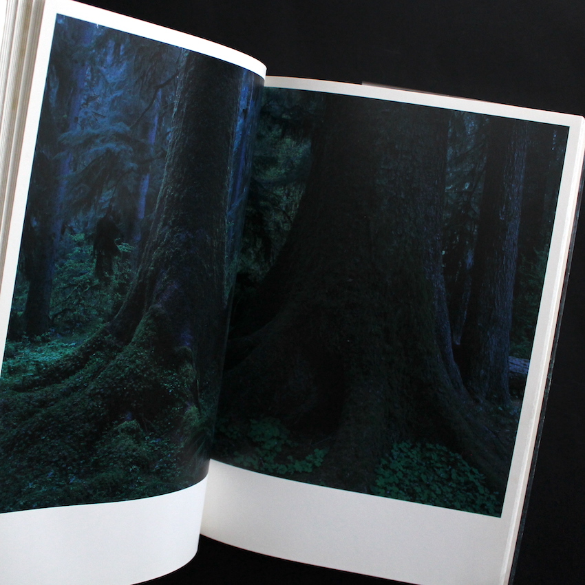 Quinault（First Edition） - 上田 義彦 / Yoshihiko Ueda