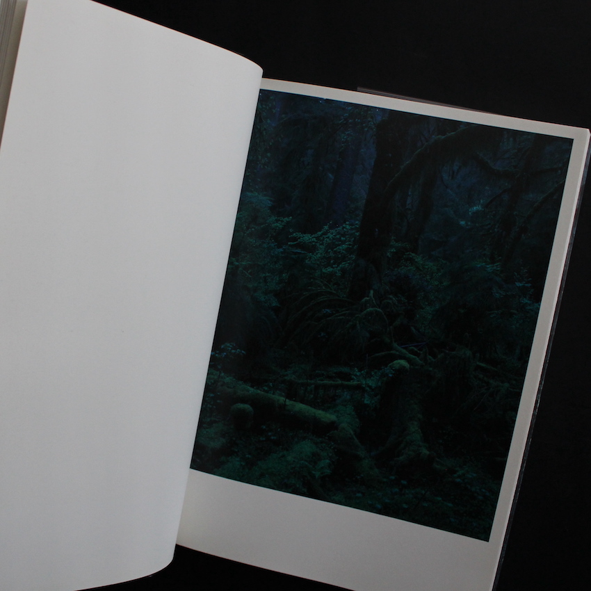 Quinault（First Edition） - 上田 義彦 / Yoshihiko Ueda