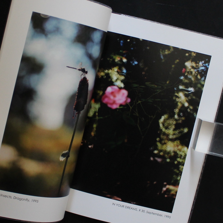 Certain Days（Signed） - Terri Weifenbach