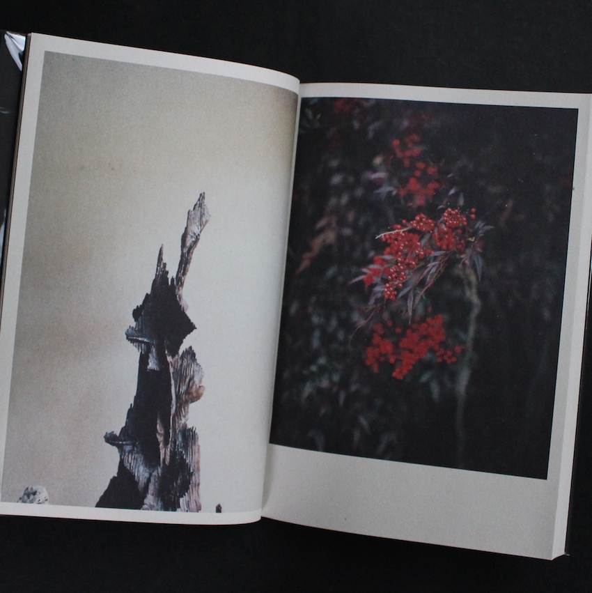 超希少!! mame kurogouchi 小浪次郎 超希少!! mame kurogouchi 小浪次郎 超希少!! mame kurogouchi 小浪