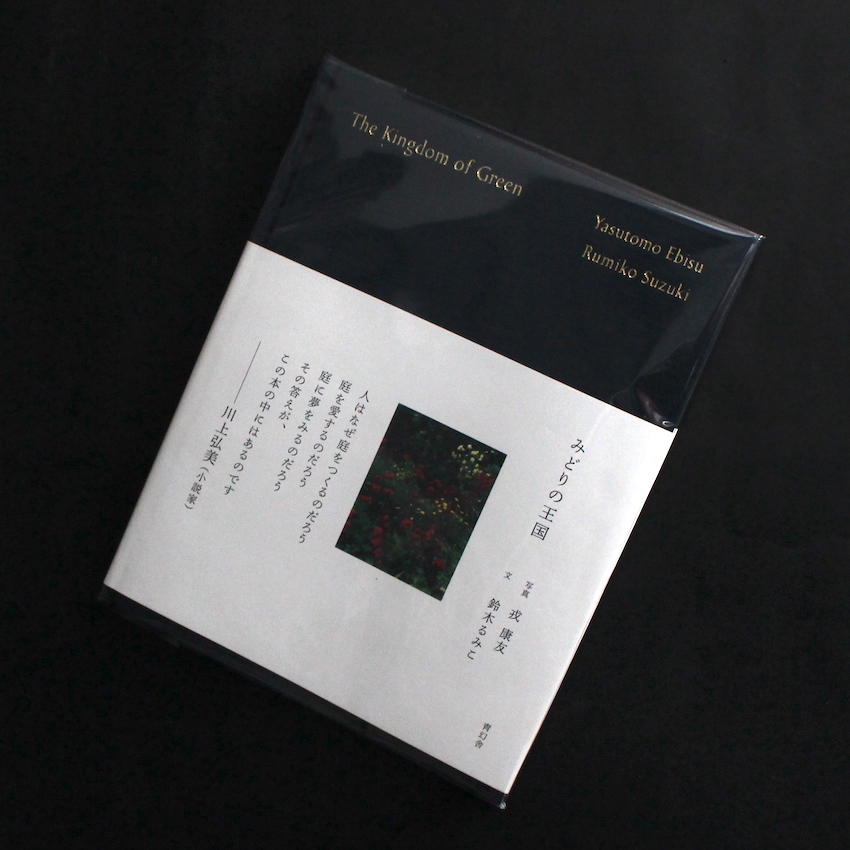 戎　康友 & 鈴木　るみこ / Yasutomo Ebisu & Rumiko Suzuki / みどりの王国 / The Kingdom of Green