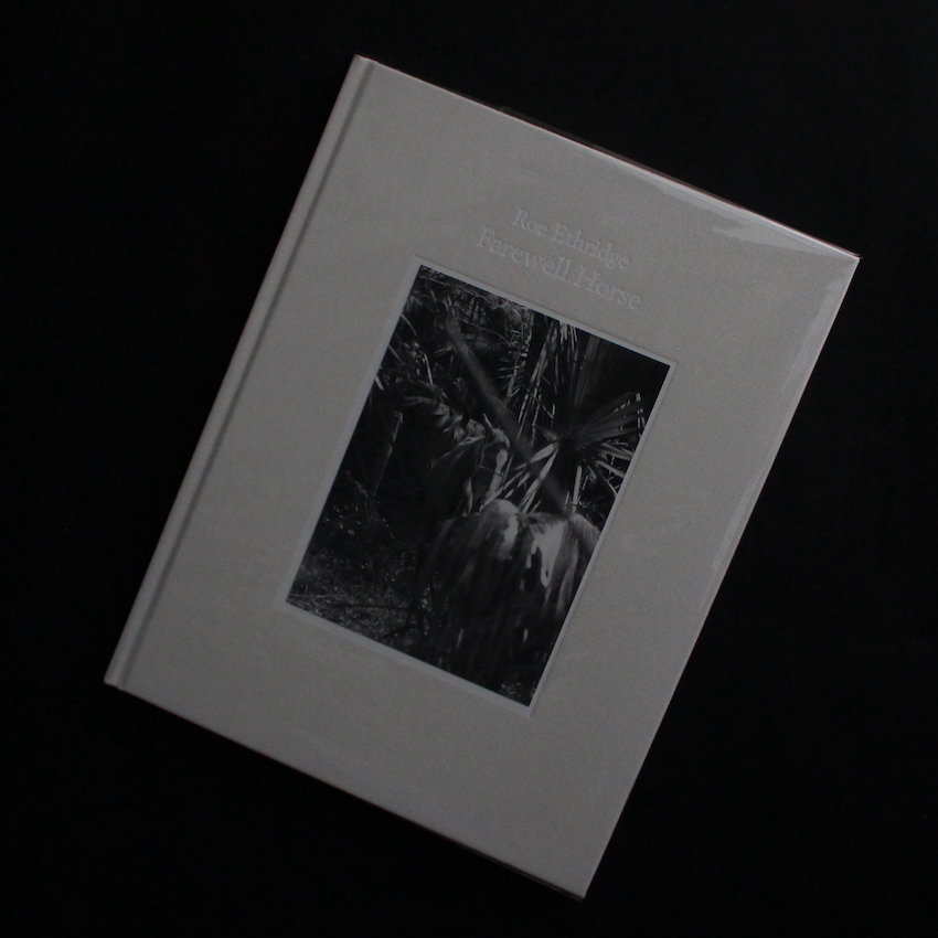 Roe Ethridge / Farewell House