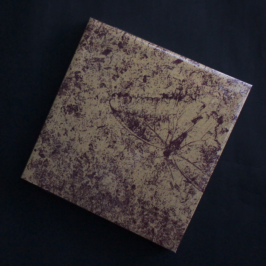 Vanessa Winship / And Times Folds（Signed）