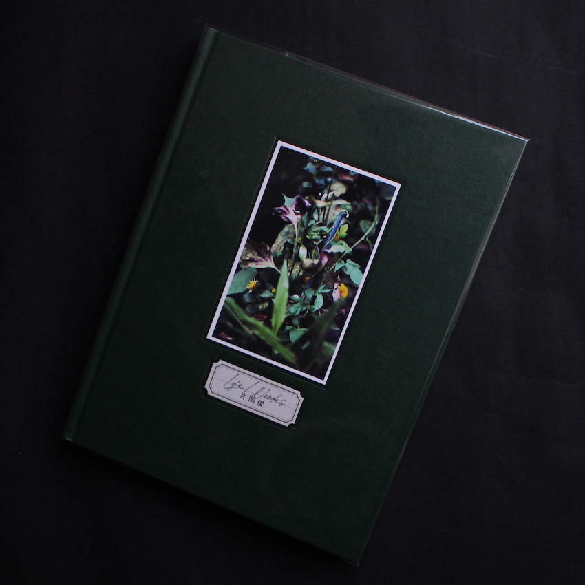 片岡　俊 / Shun Kataoka / Life Works