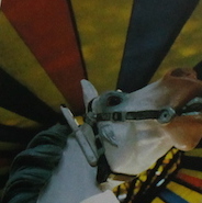 Pat Morgan Dujat / L'art Forain