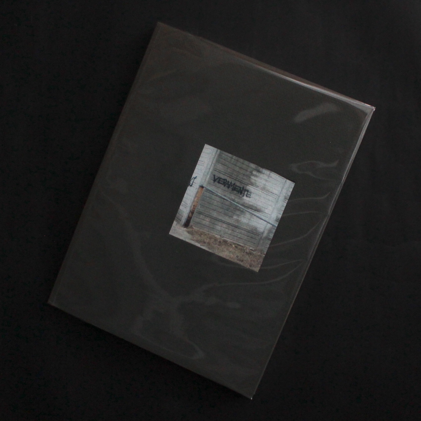 Guido Guidi / Veramente