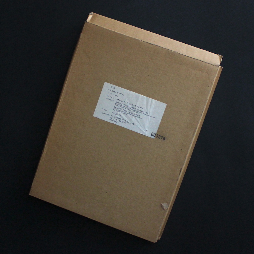 長谷井　宏紀 / Kohki Hasei / W/O