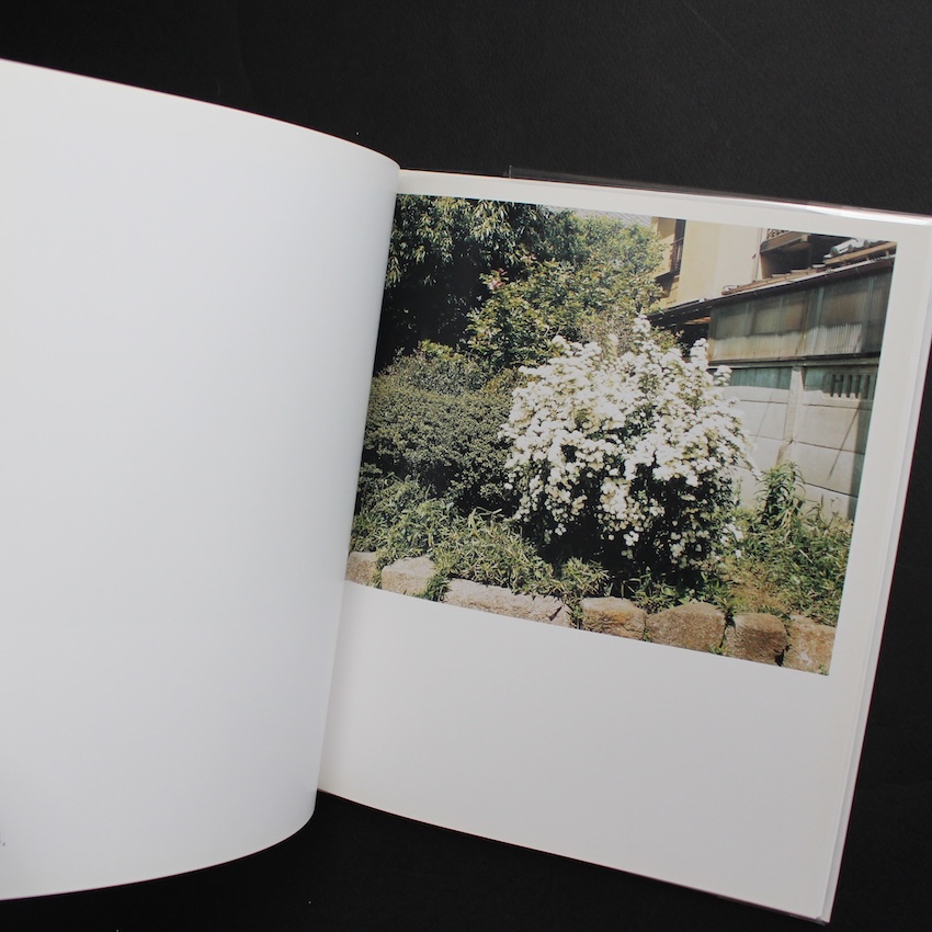 Shapes of Blooming - 鈴木 親 / Chikashi Suzuki