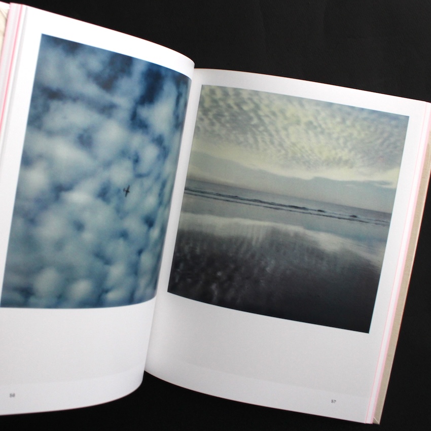 L.A. Polaroids - Robby Muller