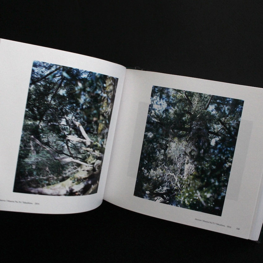 いつも世界は遠く、/ From the Hip（Signed Postcard） - 上田 義彦