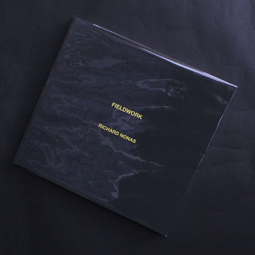 Richard Nonas / Fieldwork