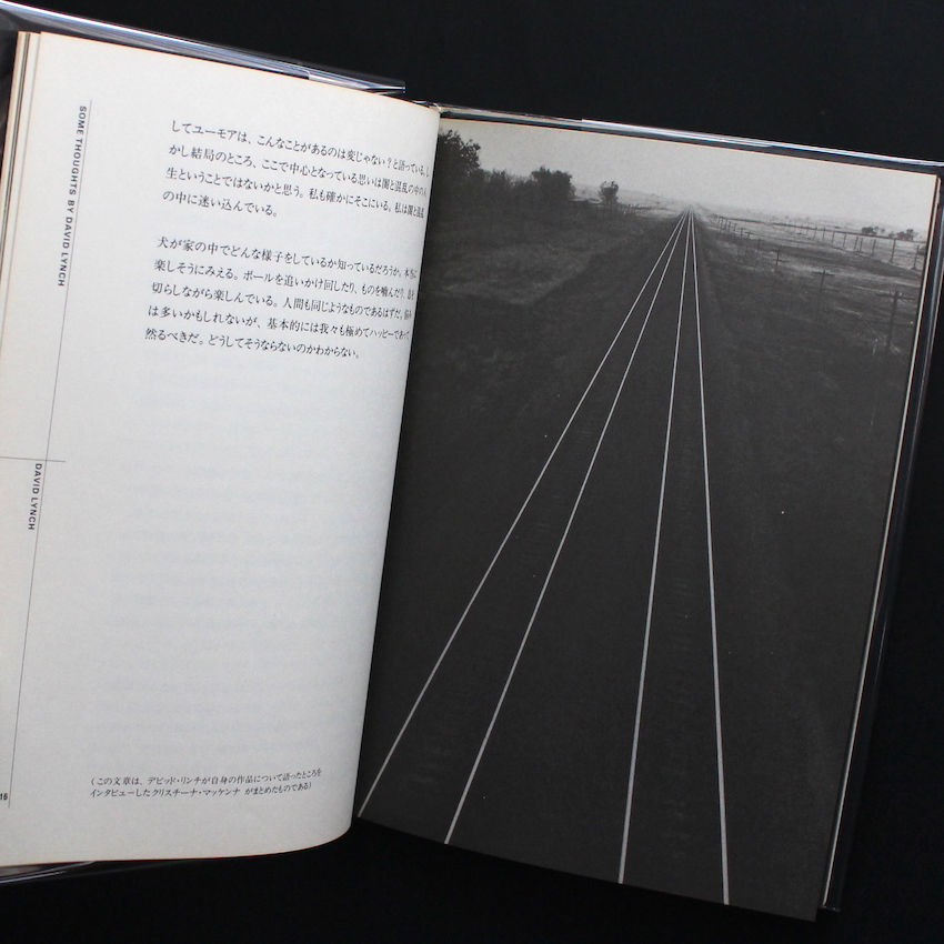 デビッド・リンチ Painting & Drawing（First Edition, With OBI