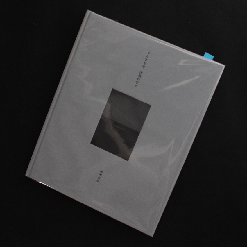 山本　昌男 / Masao Yamamoto / 小さきもの、沈黙の中で / Small Things in Silence（New Edition, Signed）