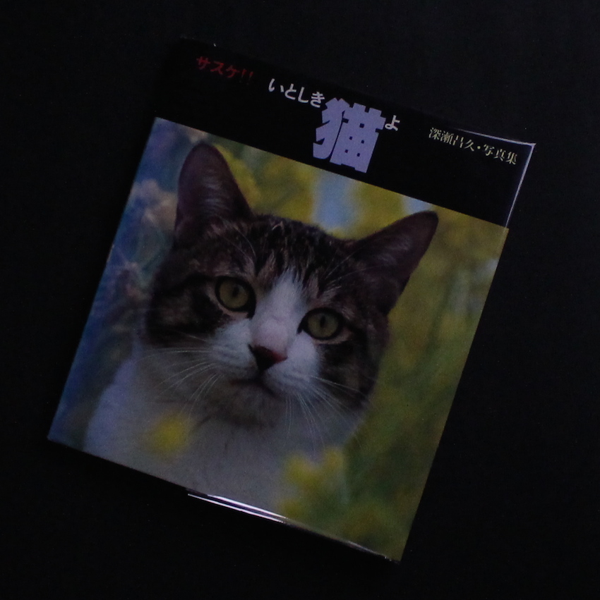 サスケ！！いとしき猫よ サスケ！！ いとしき猫よ（First Printing） - 深瀬 昌久 / Masahisa