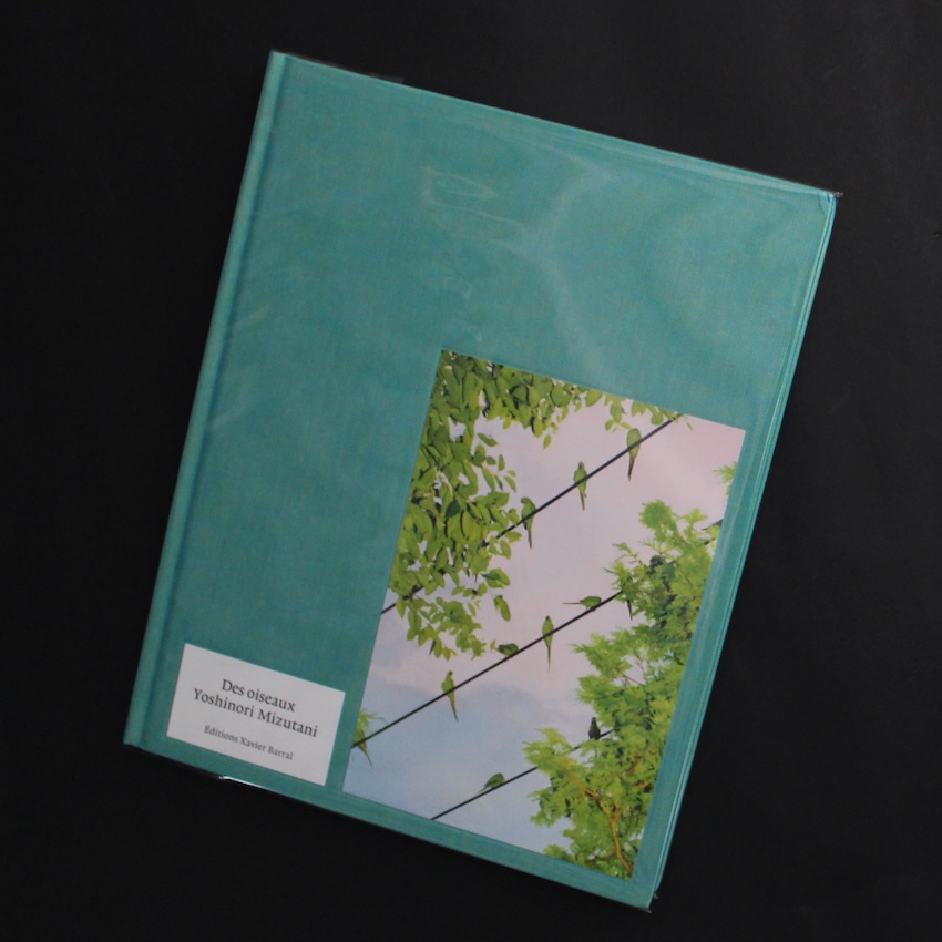 水谷　吉法 / Yoshinori Mizutani / Des Oiseaux（English Edition）