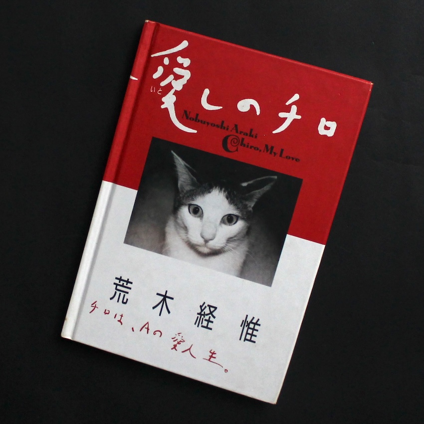 荒木　経惟 / Nobuyoshi Araki / 愛しのチロ / Chiro, My Love（First Edition, First Printing）