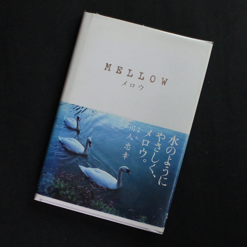 川人　忠幸 / Tadayuki Kawahito / Mellow / メロウ