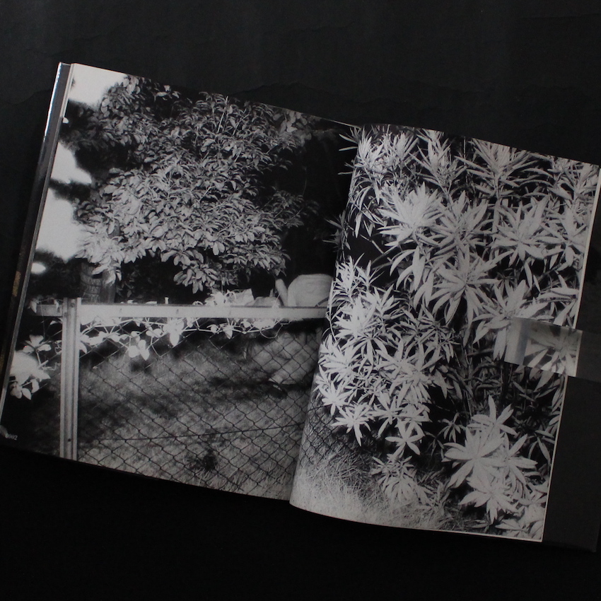 ドキュメント 公園 / Document Park（Blue OBI, Signed） 吉行 耕平 / Kohei Yoshiyuki