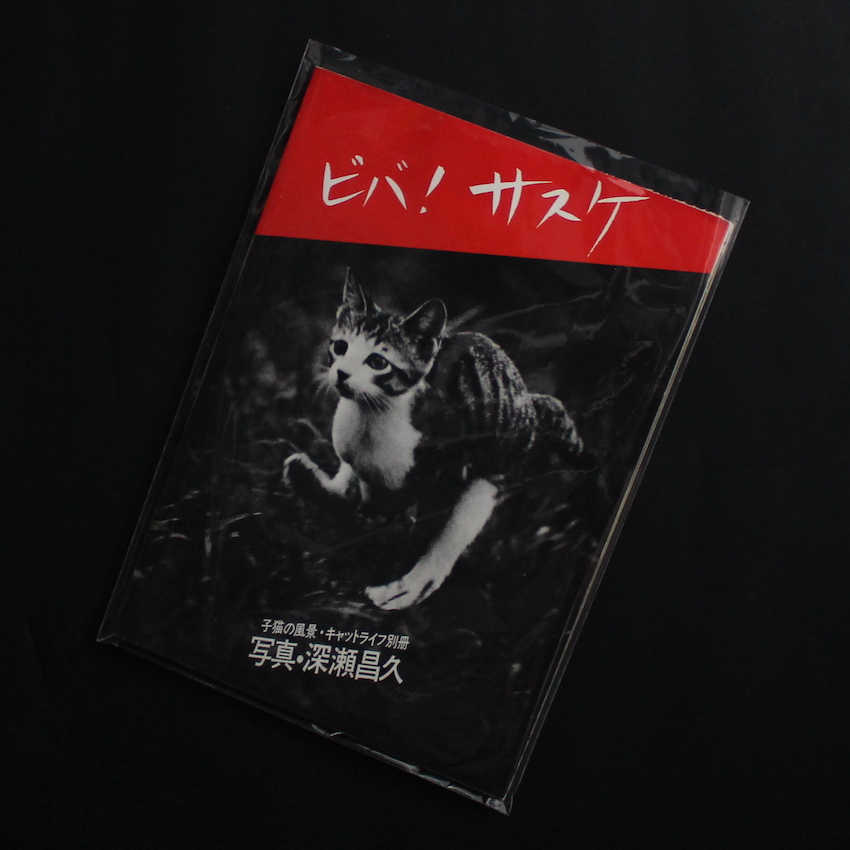 ビバ！サスケ / Viva！Sasuke（Second Printing） - 深瀬 昌久