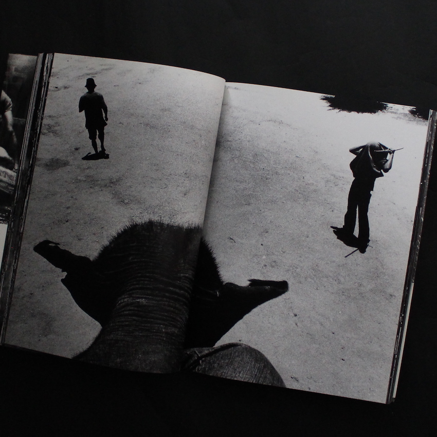 The Tropics - 森山 大道 / Daido Moriyama