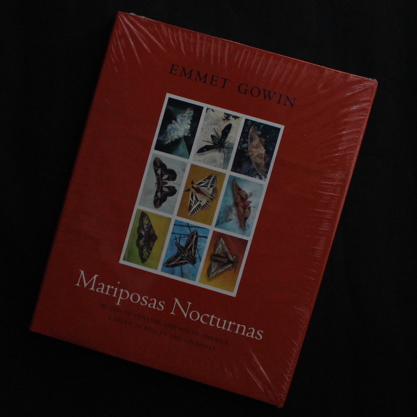 Emmet Gowin / Mariposas Nocturnas 