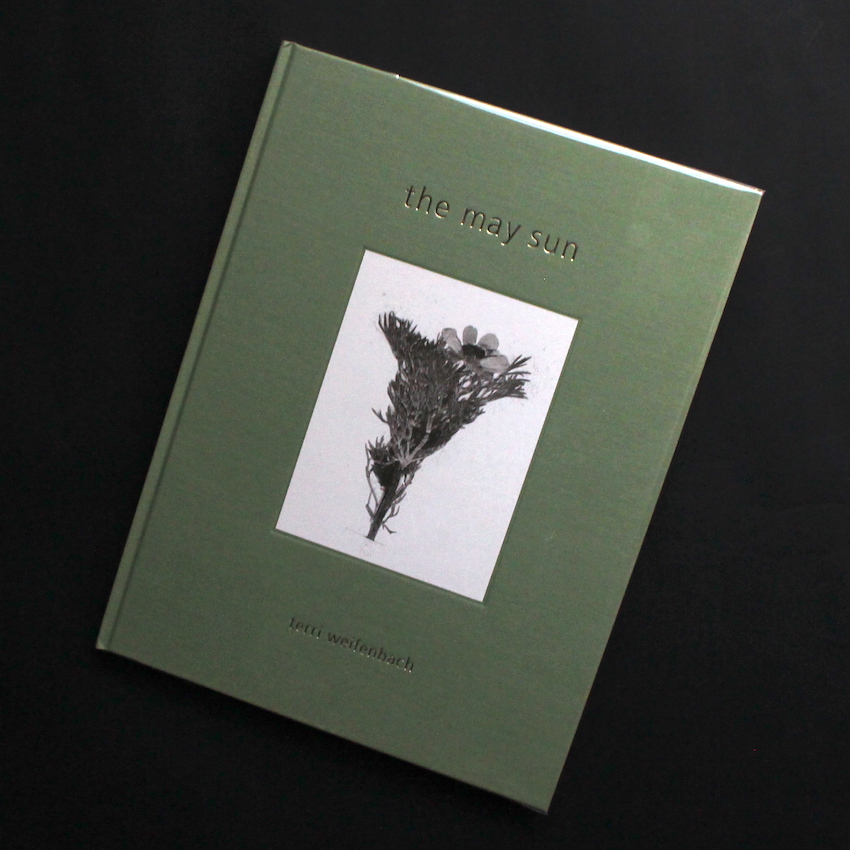Terri Weifenbach / The may sun