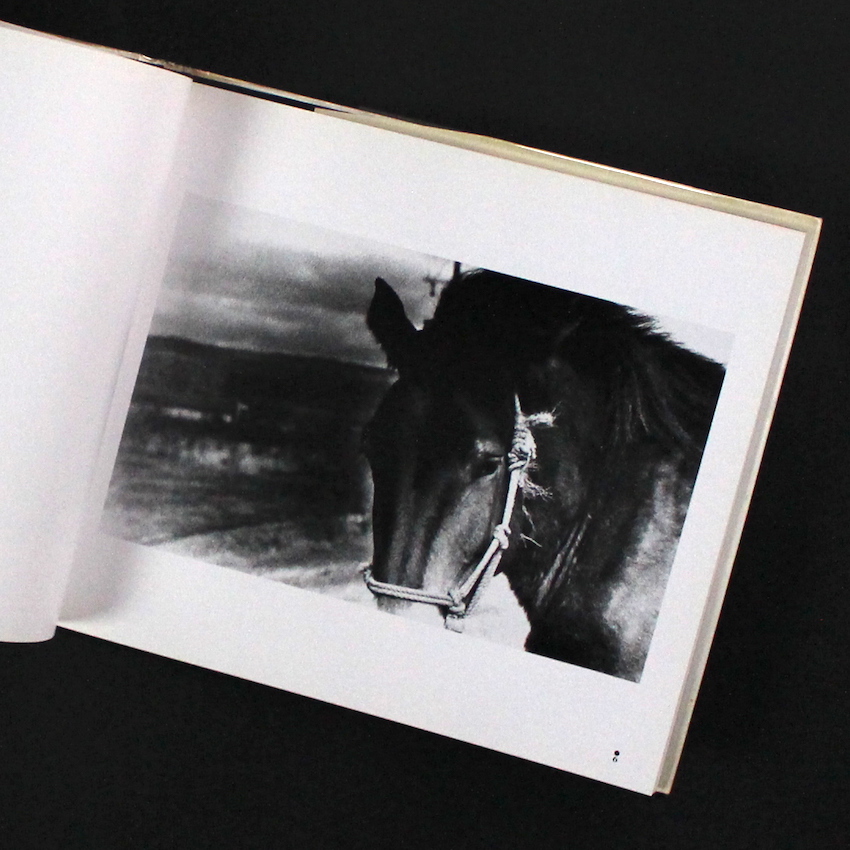 Moriyama Daido 1970-1979 - 森山 大道 / Daido Moriyama