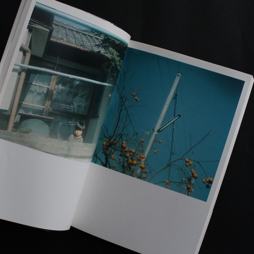 Cui Cui（First printing, Signed） - 川内 倫子 / Rinko Kawauchi