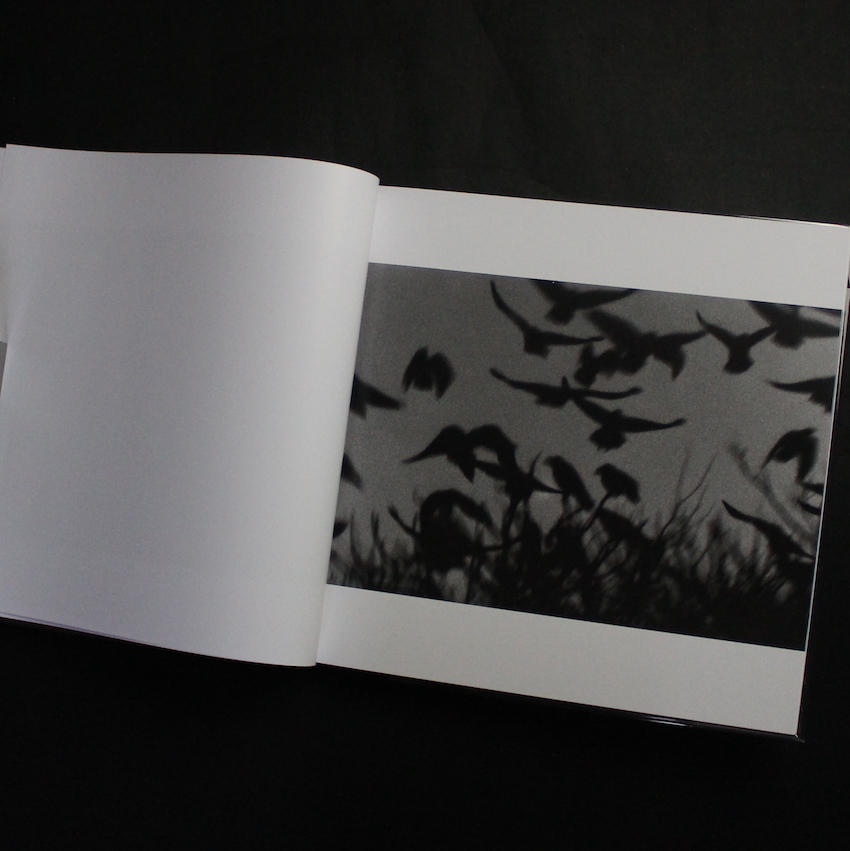 【美品】 深瀬昌久　鴉　RAVENS MASAHISA FUKASE 鴉 / Ravens（Revise Edition） - 深瀬 昌久 / Masahisa Fukase