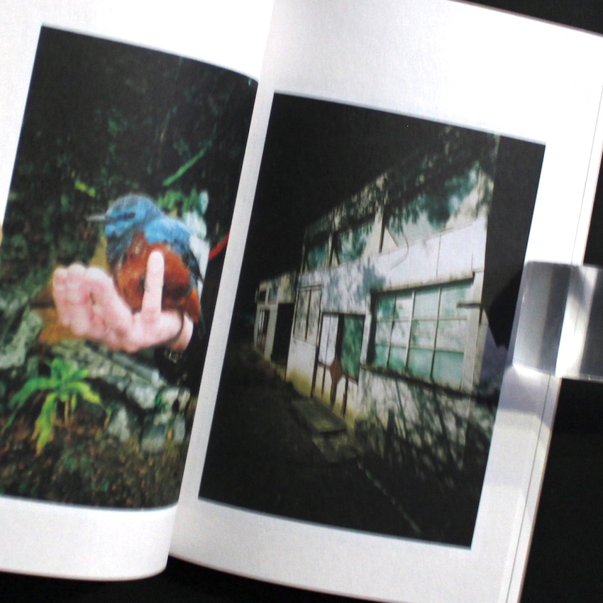 森山大道 宇和島 宇和島（Signed） - 森山 大道 / Daido Moriyama