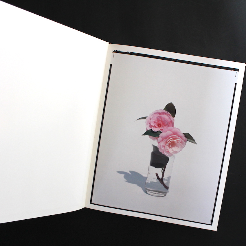 Flowers（Signed） - 上田 義彦 / Yoshihiko Ueda