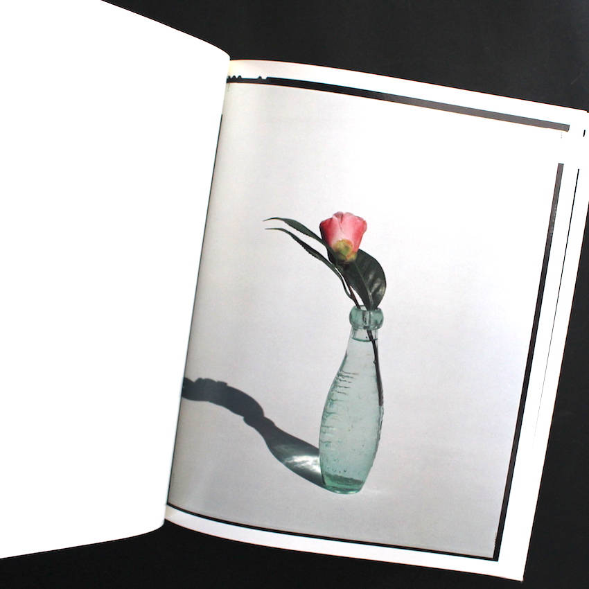 Flowers（Signed） - 上田 義彦 / Yoshihiko Ueda