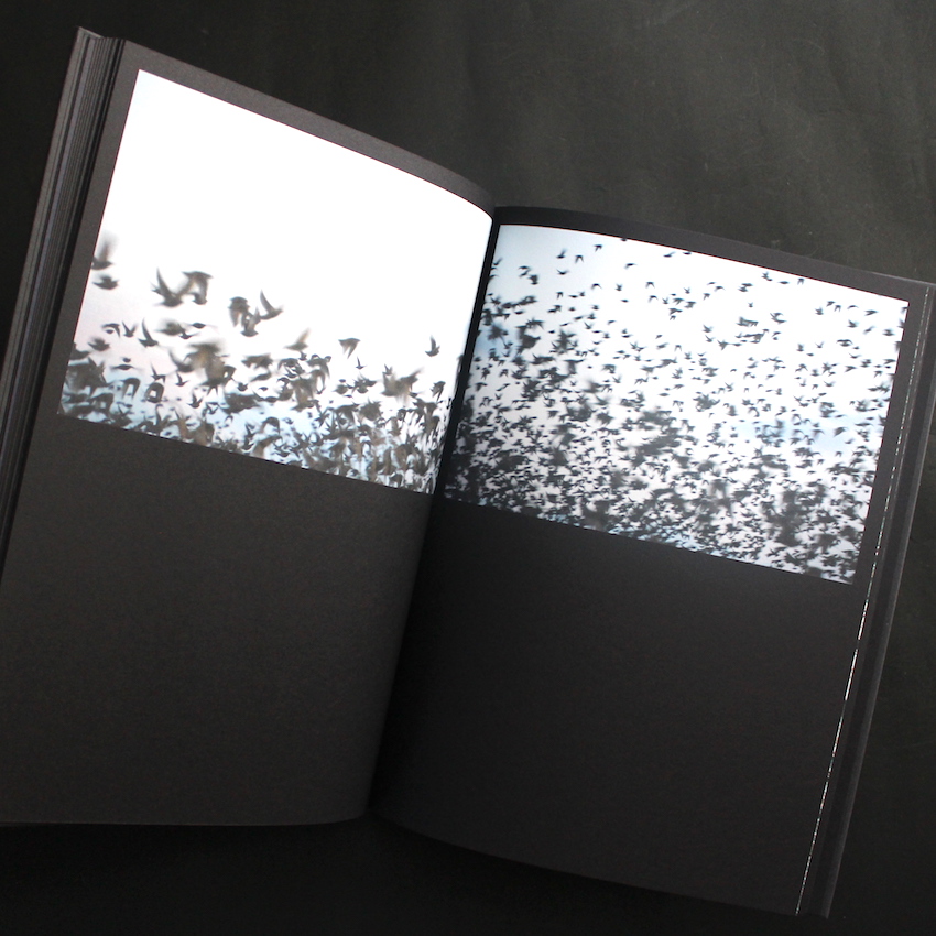 Halo（French Edition, Signed） - 川内 倫子 / Rinko Kawauchi
