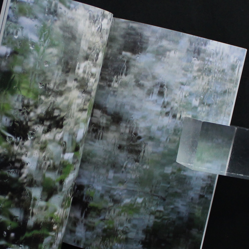 indication - 横田 大輔 / Daisuke Yokota