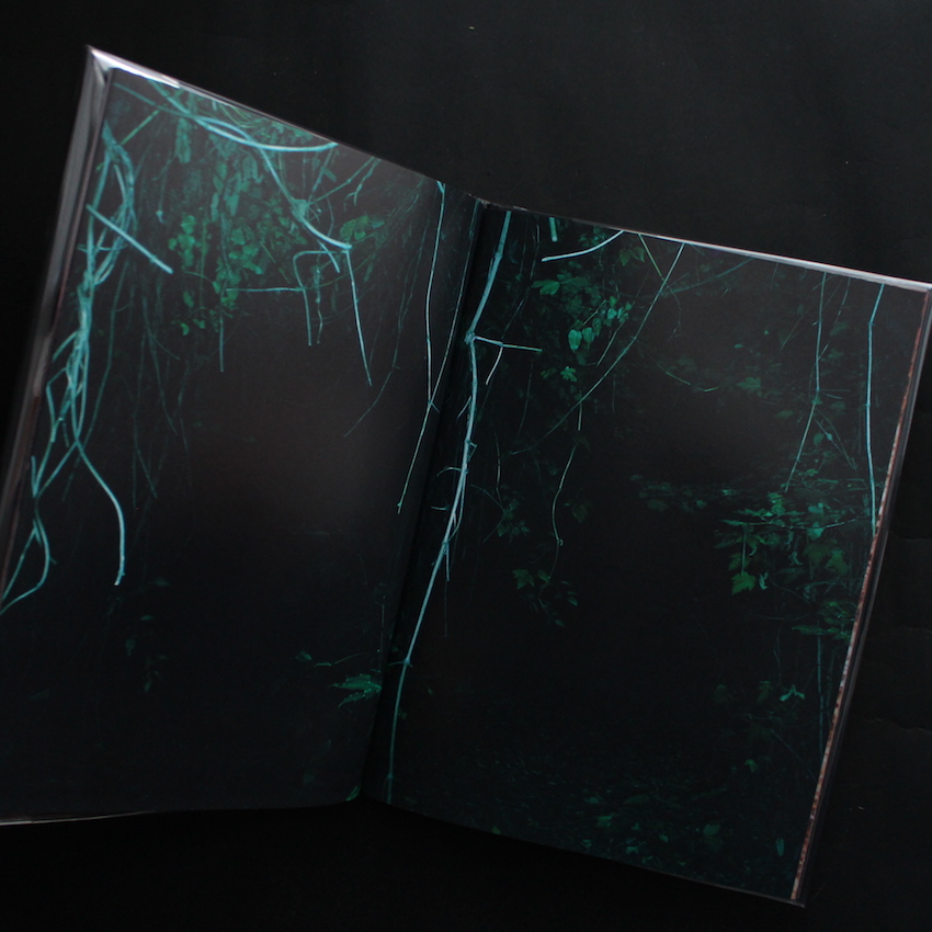 A Recurring Dream（Second Edition, Signed） - Coley Brown