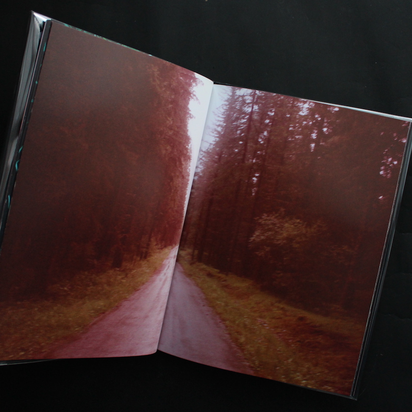 A Recurring Dream（Second Edition, Signed） - Coley Brown
