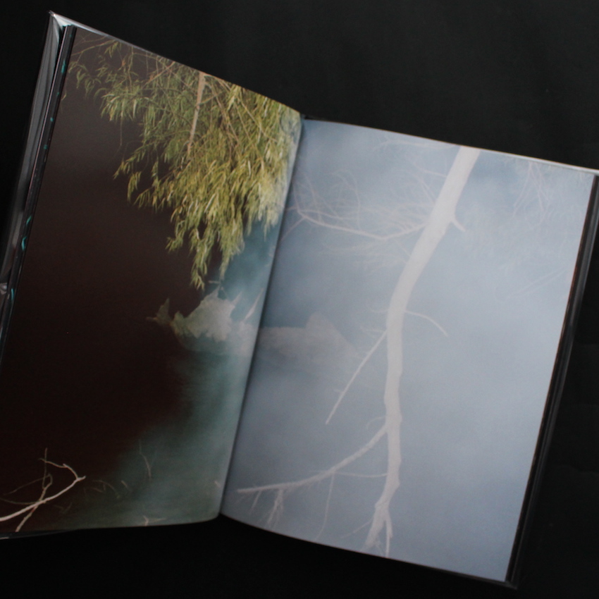A Recurring Dream（Second Edition, Signed） - Coley Brown