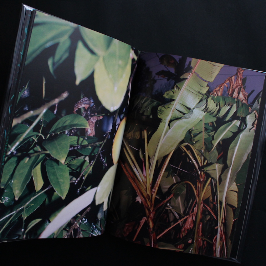 A Recurring Dream（Second Edition, Signed） - Coley Brown