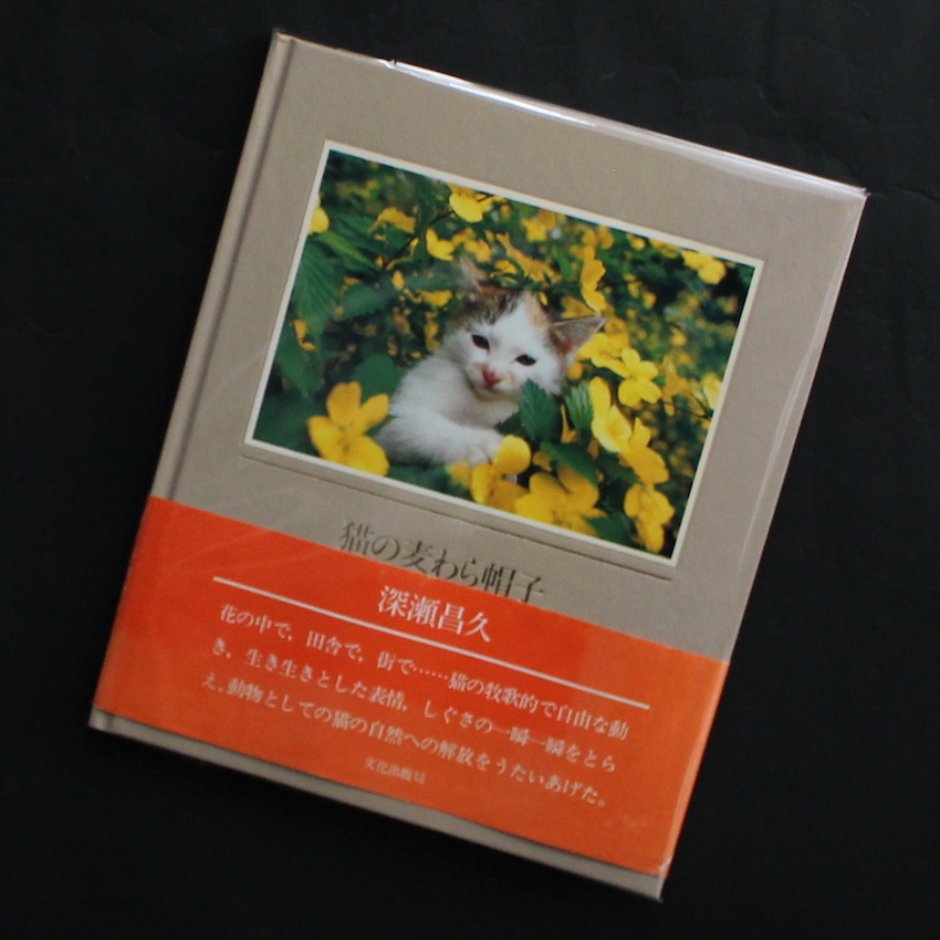 猫の麦わら帽子 / The Strawhat Cat（Japanese Signed, With OBI