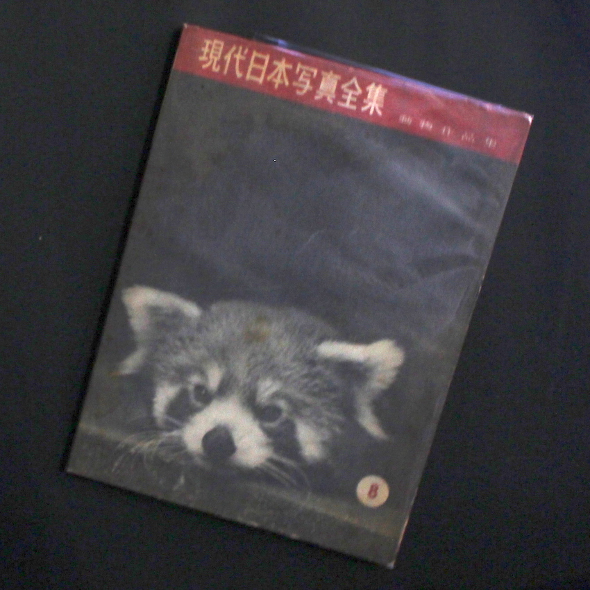 - / 現代日本写真全集 8 動物作品集 / Modern Japanese Photography Vol.8 Animals Photographs（With Glassine）