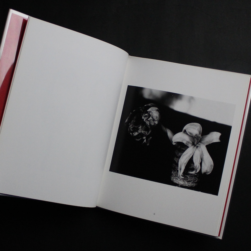 花陰（Signed） - 荒木 経惟 / Nobuyoshi Araki