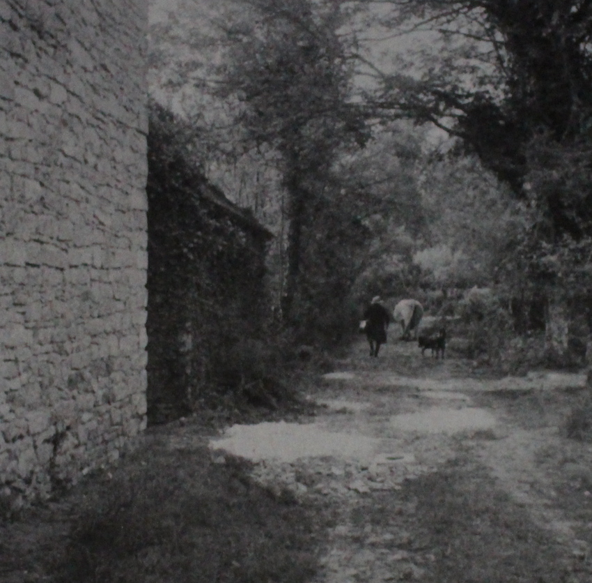 Claire Flanders / What Took You So Long？