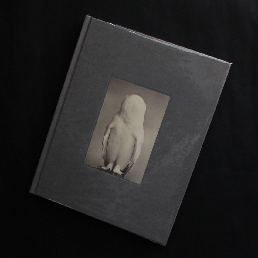 アート・デザイン・音楽 Masao Yamamoto Tori signed pic1.jpg