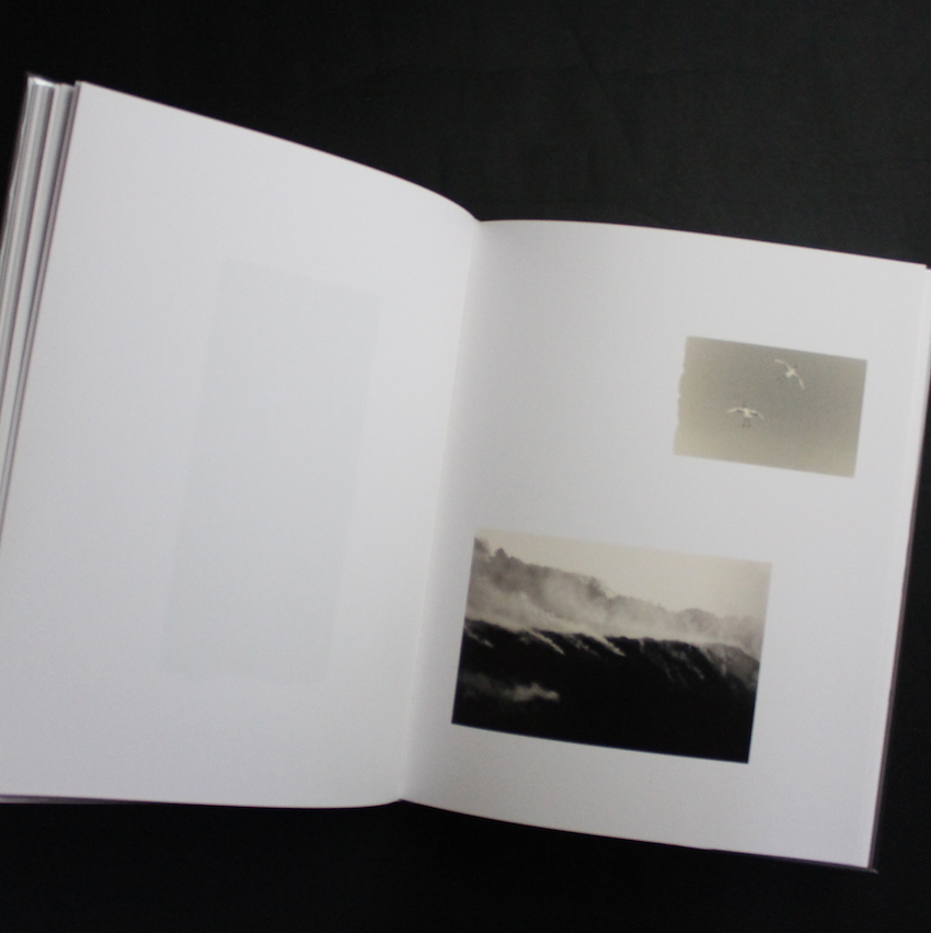 Tori（Signed） - 山本 昌男 / Masao Yamamoto