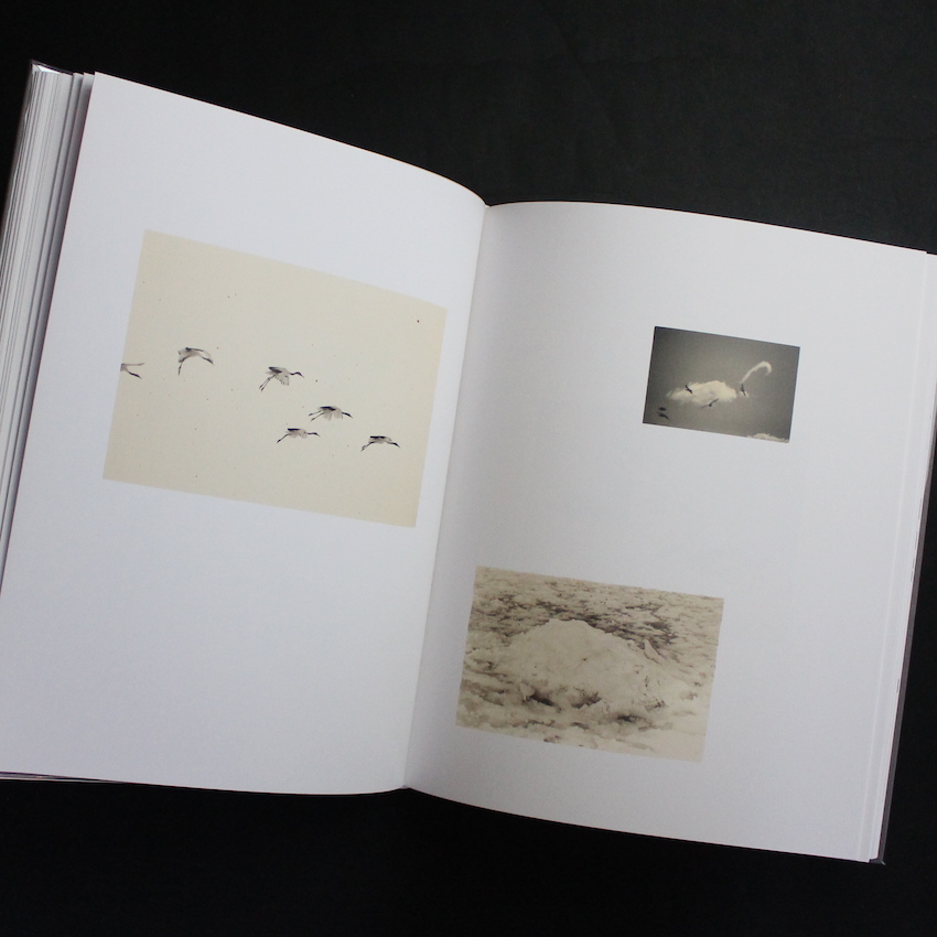 Tori（Signed） - 山本 昌男 / Masao Yamamoto