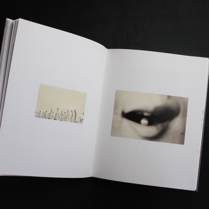 Tori（Signed） - 山本 昌男 / Masao Yamamoto
