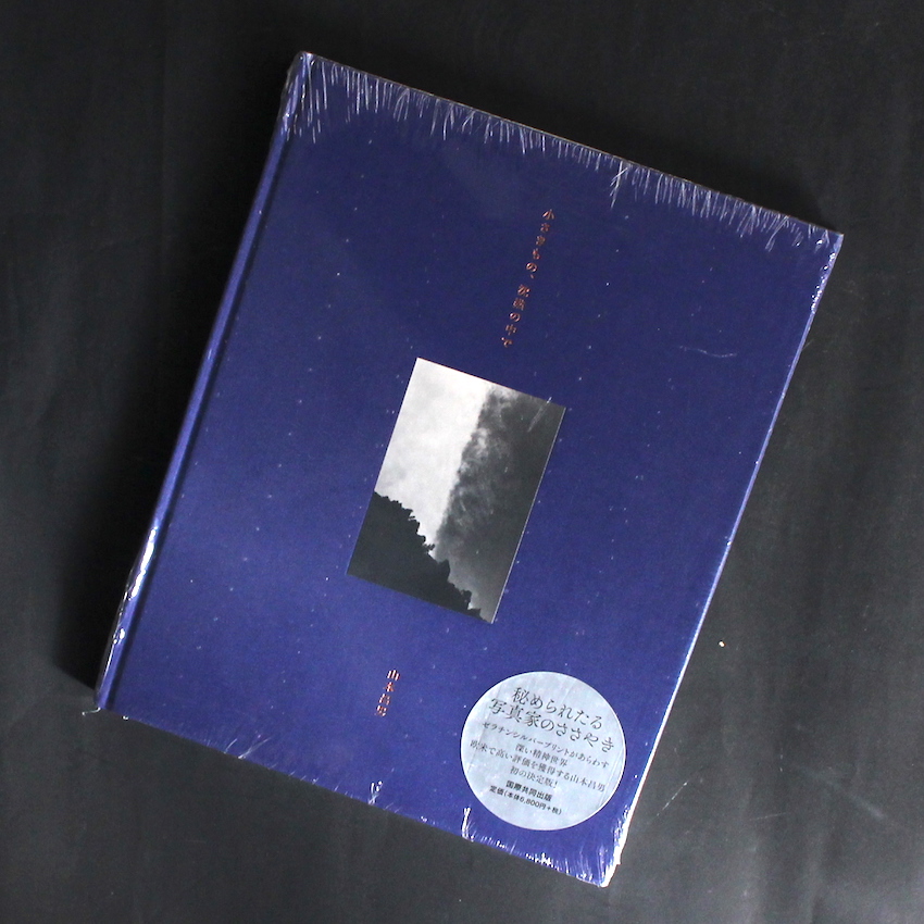 小さきもの、沈黙の中で / Small Things in Silence（Japanese Edition