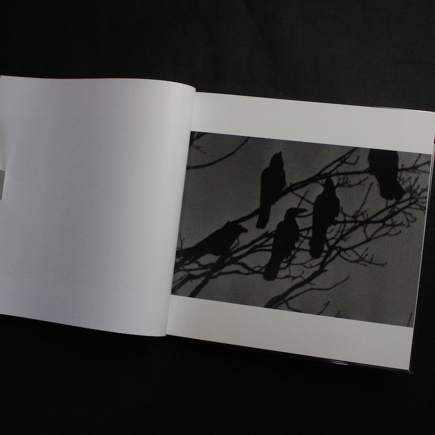 鴉 / Ravens（Revise Edition, Unopened） - 深瀬 昌久 / Masahisa Fukase