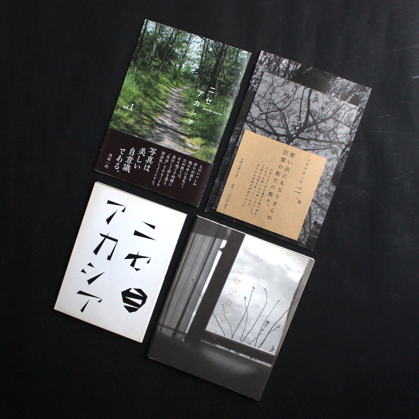 - / ニセアカシア / Nise-Acacia 1 2 3 4