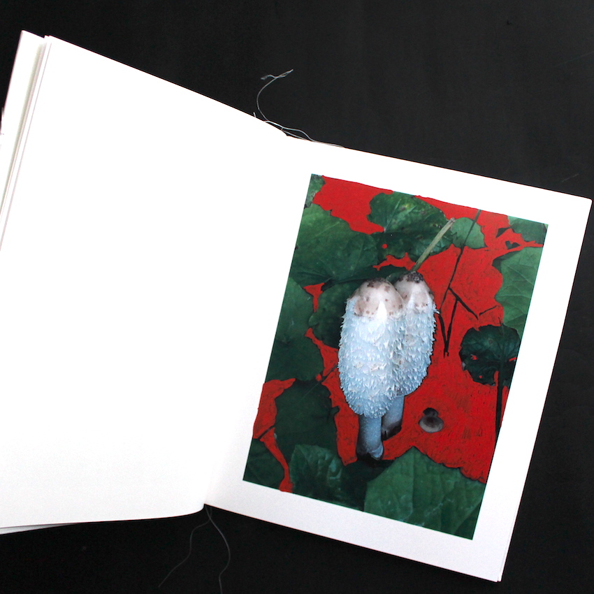 Of Mud and Lotus（Signed） - Viviane Sassen